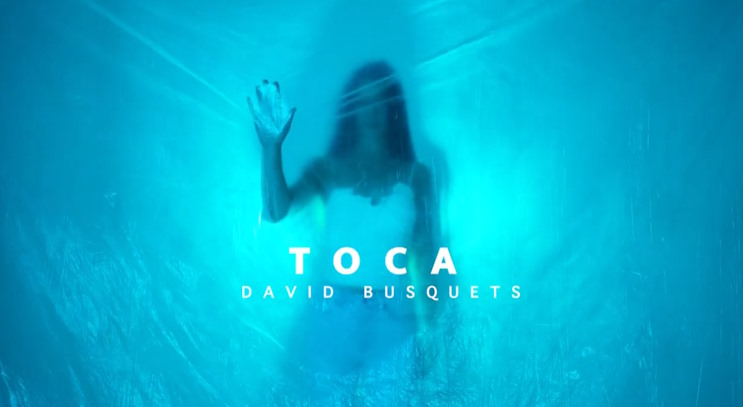 David Busquets Toca