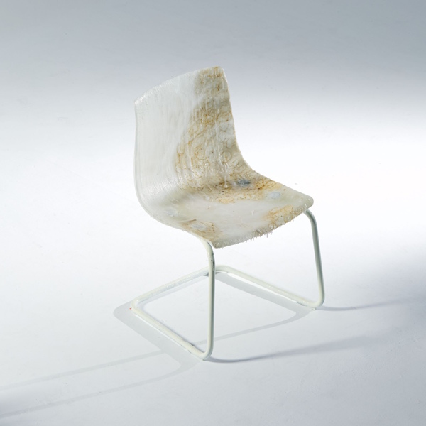 Fillas De Cassandra insolacion