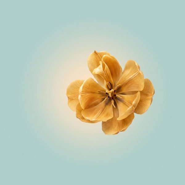 Kaethia_ presenta "Same Light, Same Love", la carta de presentación de su álbum debut "One World, One Song"