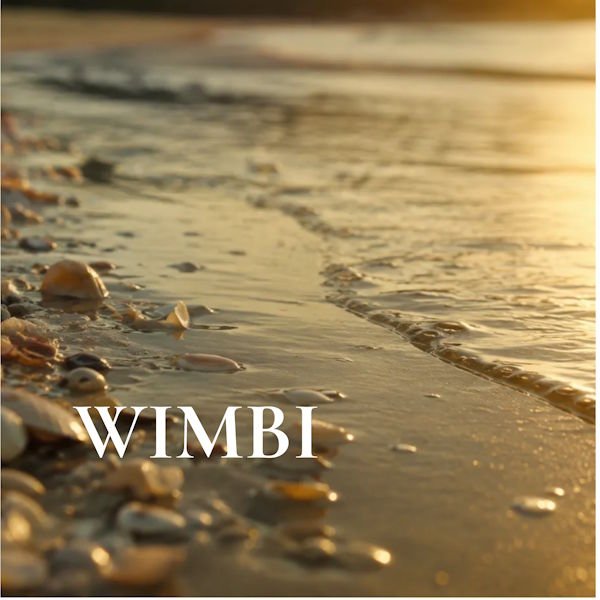 MENTAVIBE presenta "Wimbi", un viaje de Afro-Fusion y Afro-House entre los ritmos africanos y la profundidad emocional
