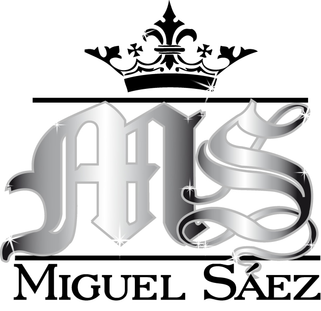 Miguel SAez Logo