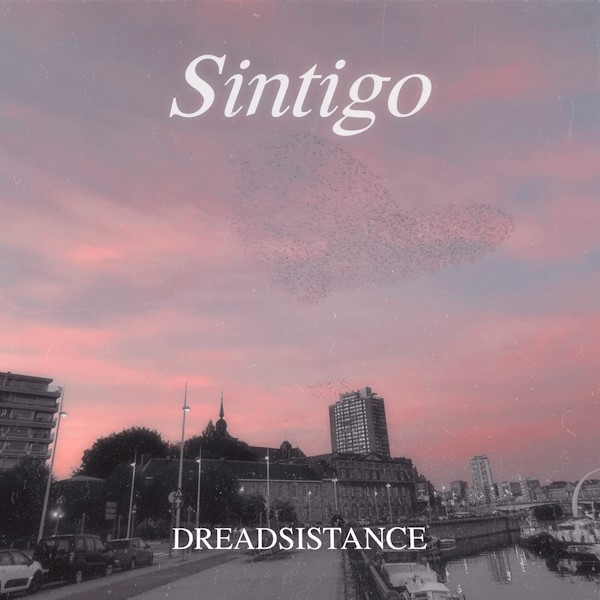 Portada Sintigo