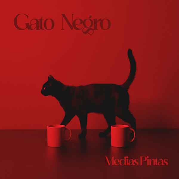mediaspintas gatonegro